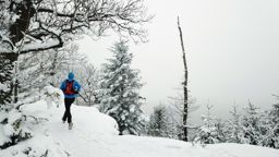 Ochstenstein