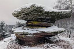 Balade dans la neigr