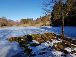 Ballon d’Alsace depuis St Maurice