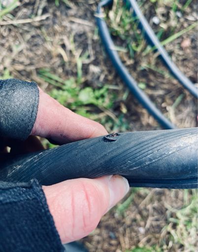 Najít, kudy jsem to prorazila, tentokrát nebyl problém :-D