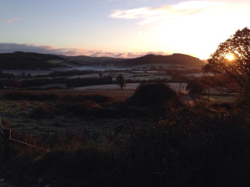 Out at the crack of dawn - lush views🌞