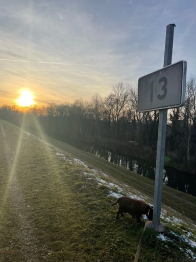 Panneau porte bonheur pour 2026 ? 🍀🤞🤞