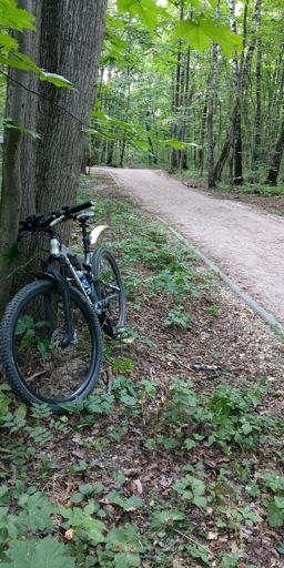 В предвкушении репки