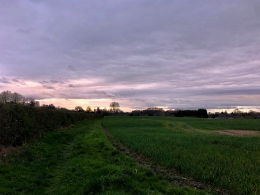 mandatory field crossing