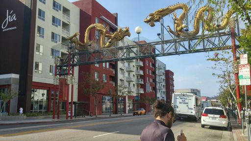 Sheep in China town...doin sheep thangs