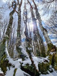 Schlucht Hohneck