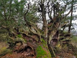 VTT avec Guilhem et Myriam