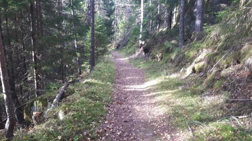 Ved Cudriobakken før Blåbærstien