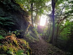 Marche autour de Haselbourg