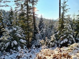 Grand Rommrlstein mit Mutti