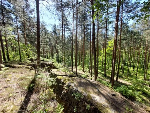 Skałki Biały Kamień