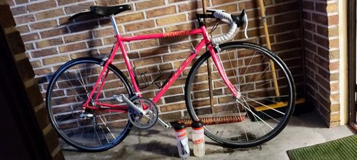 Bild ist von vor Weihnachten, rollte heute aber genau so gut 👍