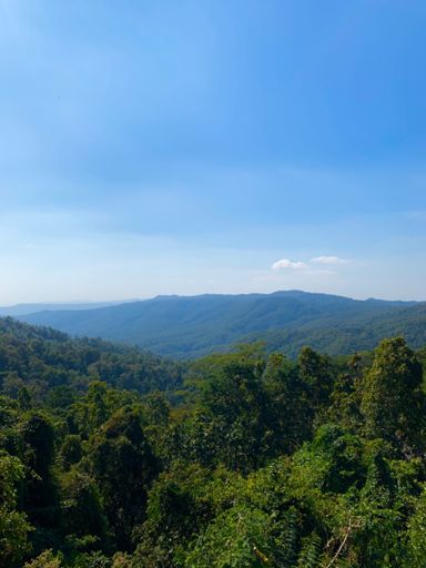 Didn’t enjoy the view cause I was bonked