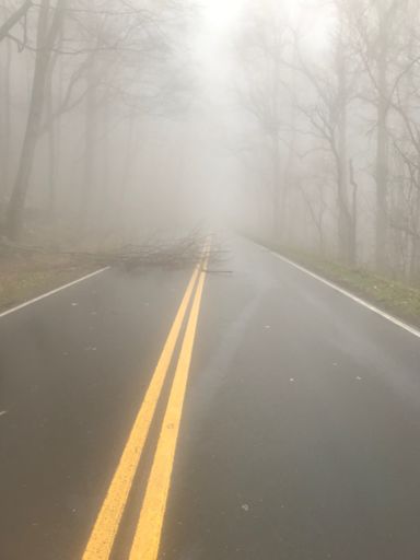 Road closed from down trees