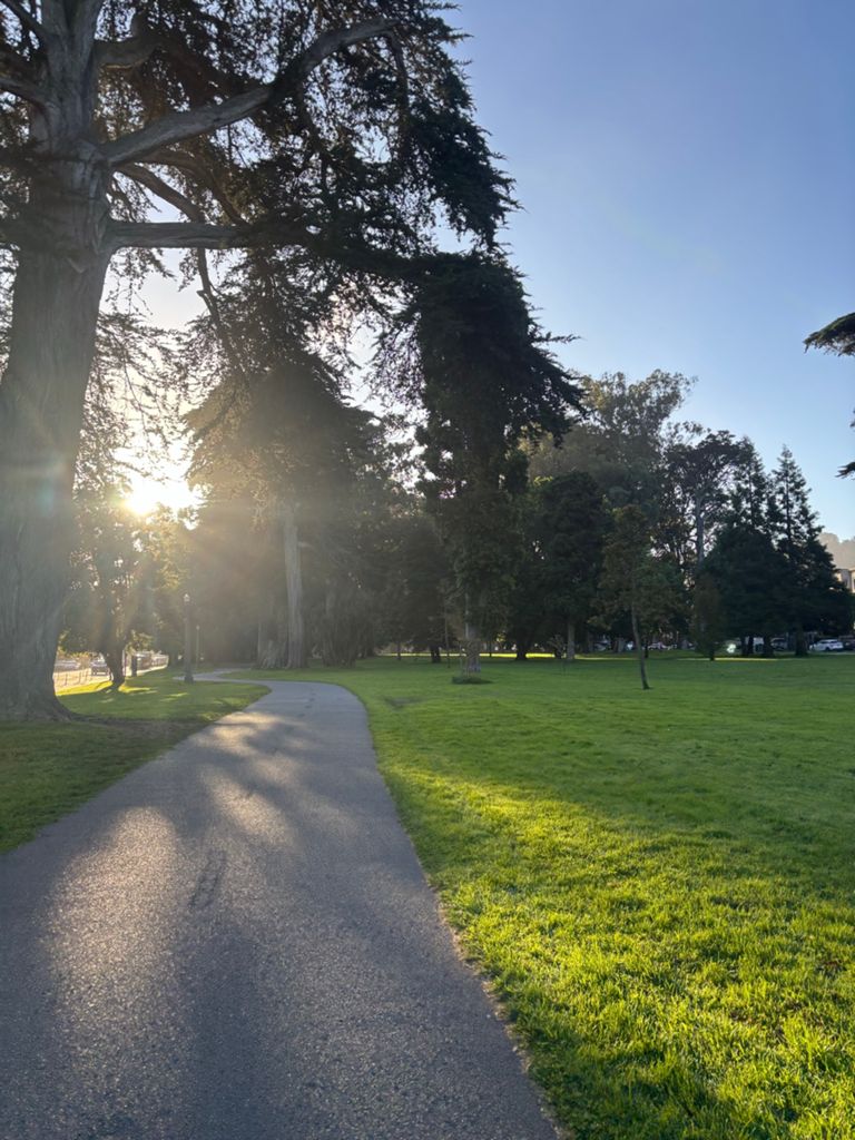 Butterlap (Presidio & Golden Gate Park) photo 17