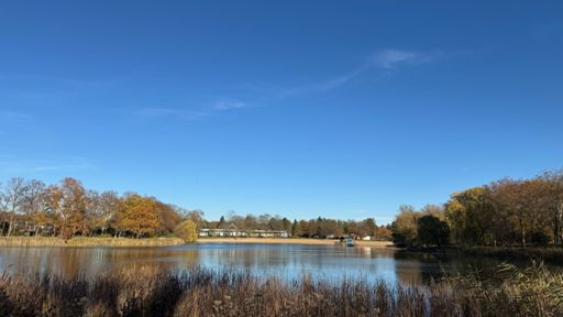 Einfach herrlich, mal kurz am Orankesee durchzuatmen, während die Sonne an diesem Novembertag die Luft erwärmt und die Farben des Herbstes leuchten lässt. 🌞🍃🍁