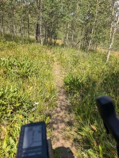 Maybe not a good idea by yourself. This area has the highest bear count per square mile in the lower 48! But what a great trail!