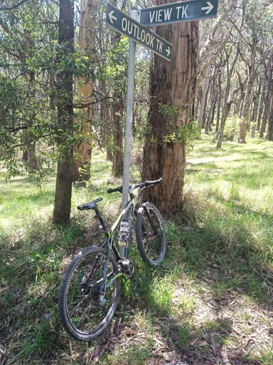 Off once on Tyson track.. enough grip / gears but no legs.
