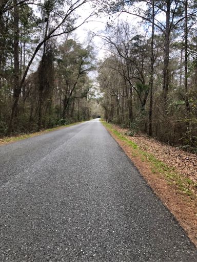 Old St. Augustine Rd.