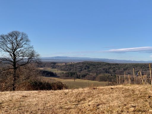 Blick nach Österreich