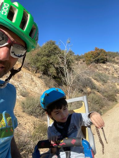 Snake was dead and beheaded :[