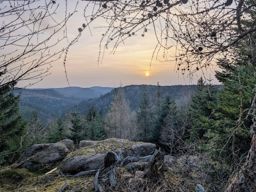 Sortie VTT dans l’après-midi