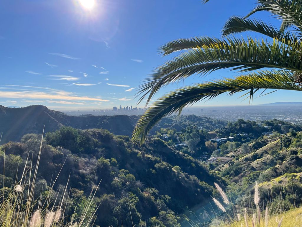 NBB run - Lake Hollywood photo 97