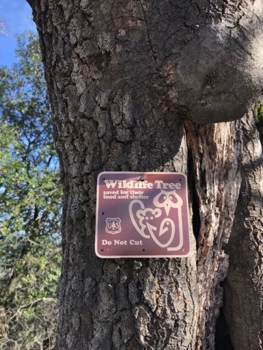 First time to see a sign like this, saweet!