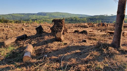Blick zum Rimberg von der Ibrakuppe