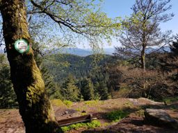 Petit tour dans la côte de Repy