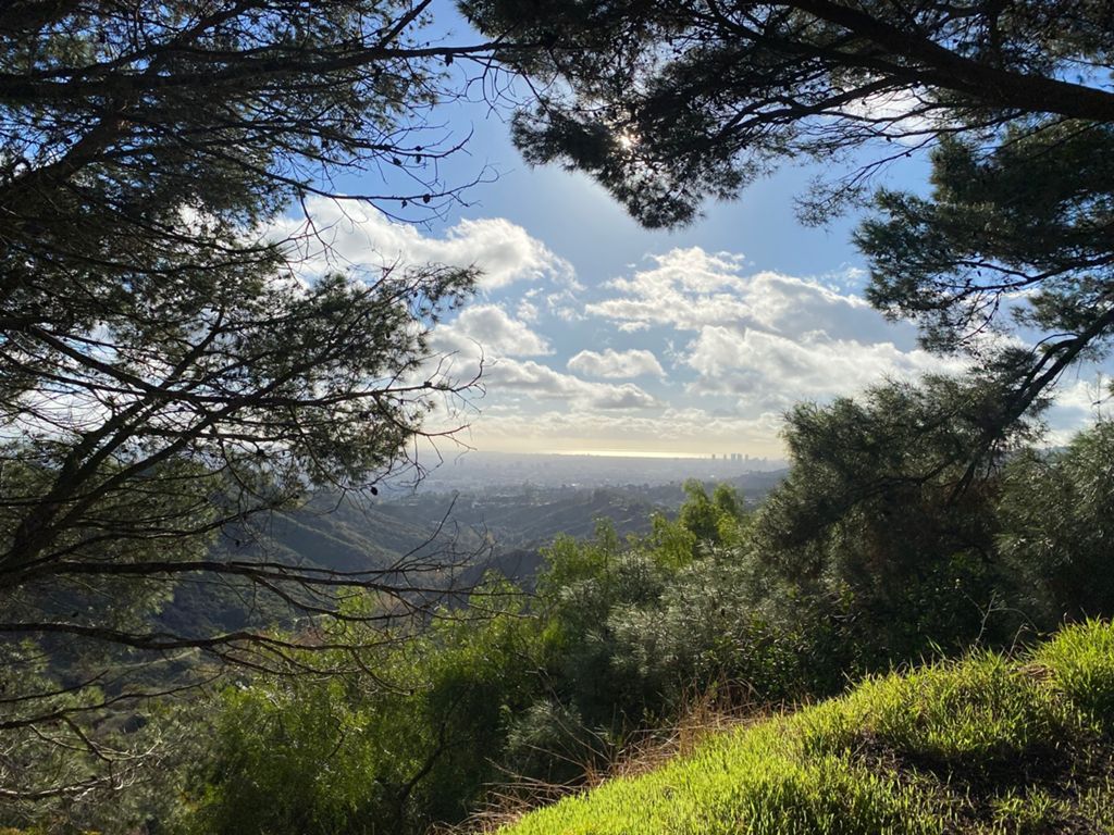 NBB run - Lake Hollywood photo 96