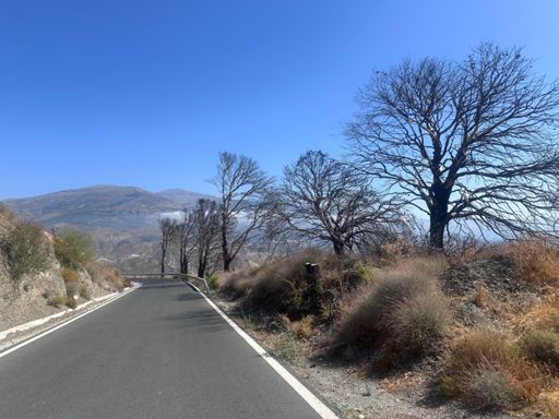 Syke trestammer Christian Nøstvik