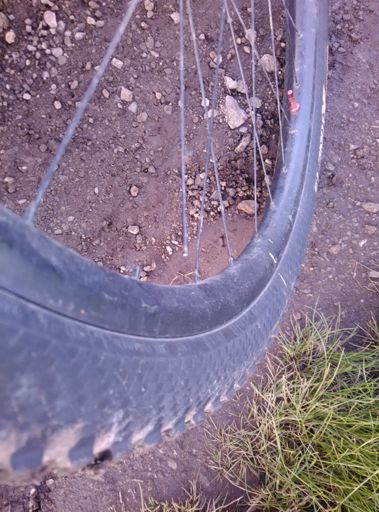 Тренировку сорвала, зато обеспечила досуг на весь завтрашний вечер…