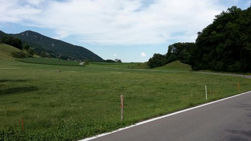 Blick Richtung Wolfisberg