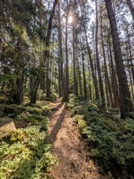 Tour Ribeauvillé Taennchel