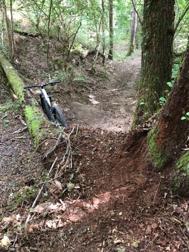 J’espère que personne va virer l’arbre tombé, le saut est trop bien! Il y a une échappatoire sur la droite.