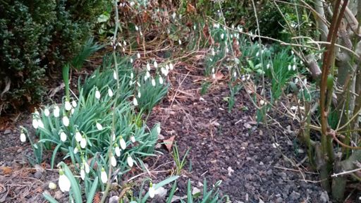 Der Frühling kommt - langsam, aber sicher