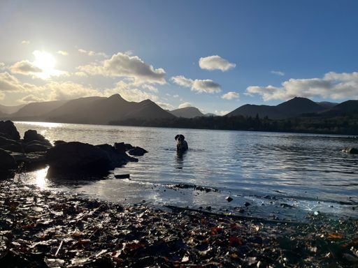 Cal unbothered by ice...