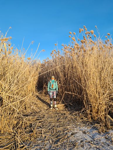Выход на лед Яицкого озера.