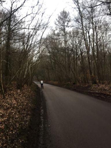 Wooded roads near Gaddesden Row.