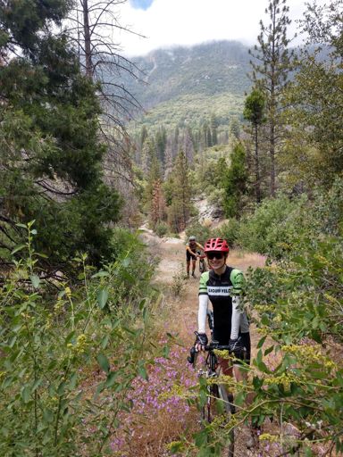 You can't say we didn't try