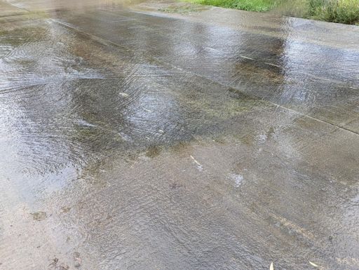 And another one gone, and another one gone
Another one bites the slime!