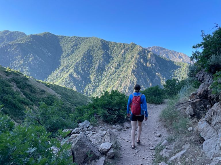 Rattlesnake Gulch photo 5