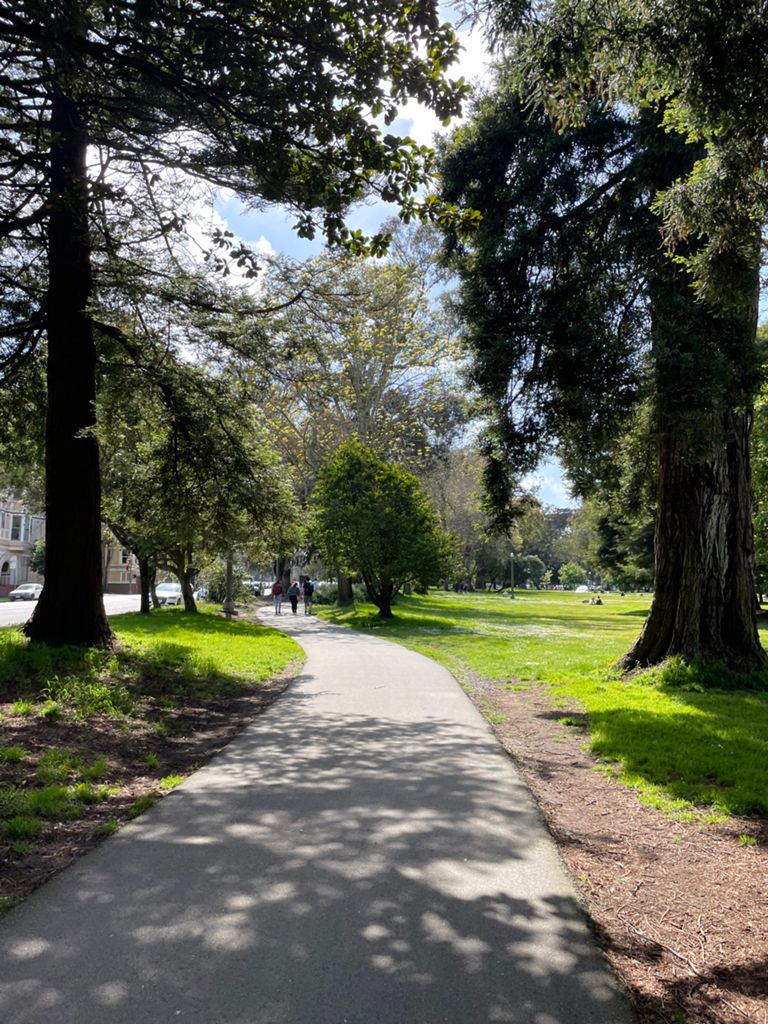 Butterlap (Presidio & Golden Gate Park) photo 146