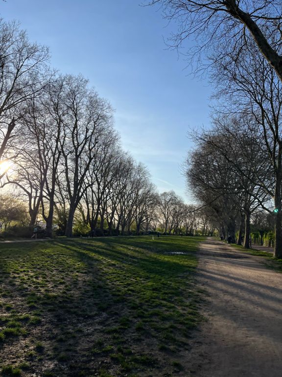 Richmond Park 42.3 km Cycling Route on Strava