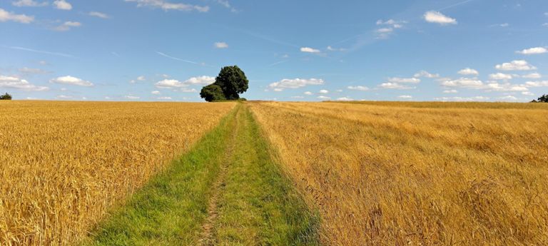 route-highlight