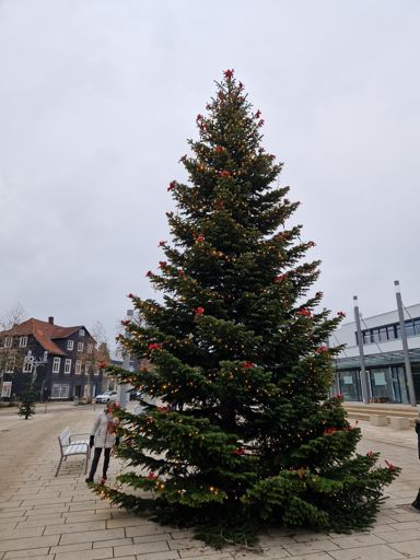 Kurpark Bad Nenndorf