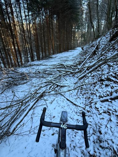 Was machen die Förster eigentlich den ganzen Tag?