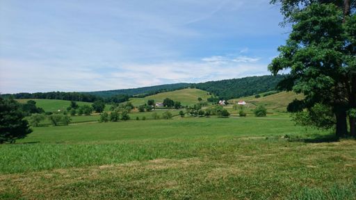 Scenery was not that bad.