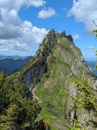 Chöpfenberg Tierberg